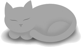 grey cat